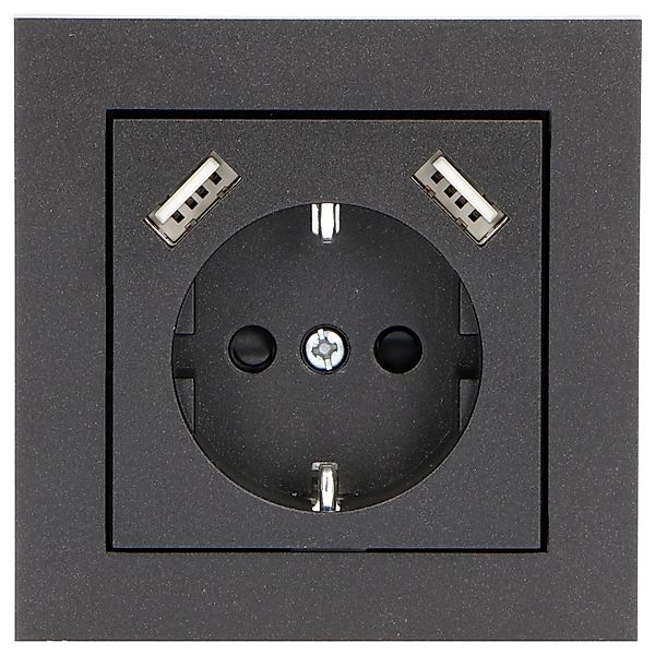 ProCharge Steckdoseneinsatz für ProCharge 2xUSB A Schwarz günstig online kaufen