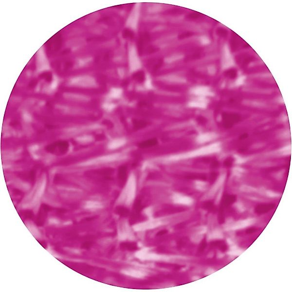 Bestlivings 2er Pack Fadenvorhang Fadengardine Gardine Vorhang 90 cm x 240 günstig online kaufen