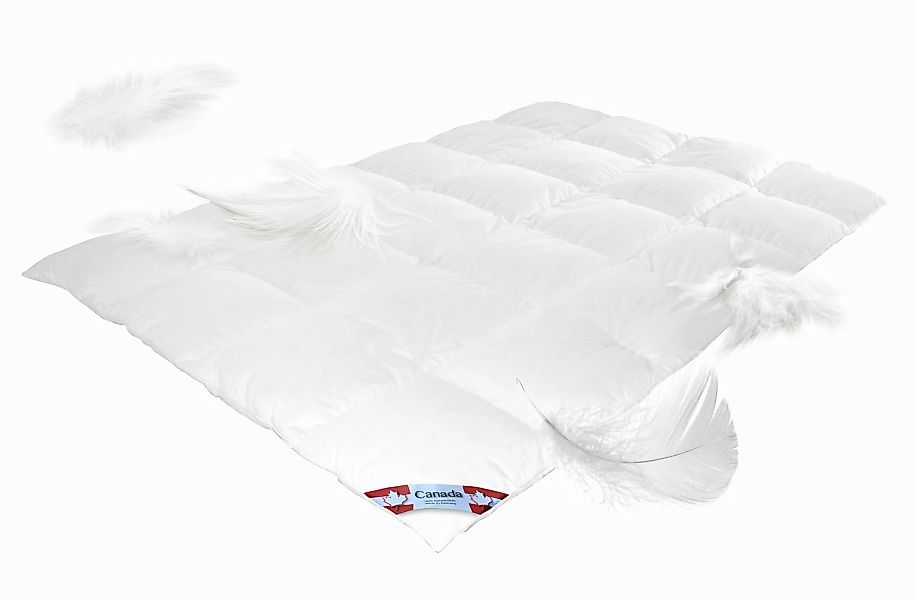Canada Daunenbettdecke Mega Preis Canada Daunendecke günstig online kaufen