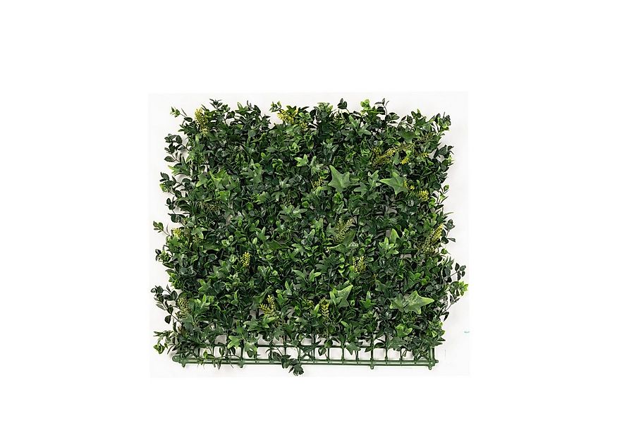 Kunstpflanze Pflanzenwand Collins, Kubus, UV-beständig günstig online kaufen
