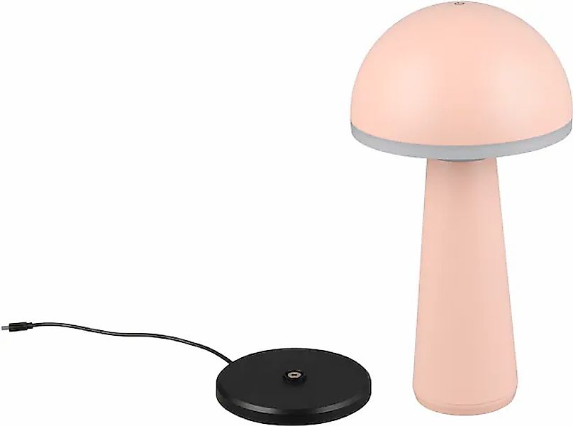 REALITY Leuchten LED Außen-Tischleuchte »FUNGO« LED-Board 1 Stk. warmweiß - günstig online kaufen