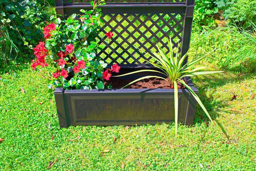KHW Blumenkasten KHW Pflanzkasten mit Spalier günstig online kaufen