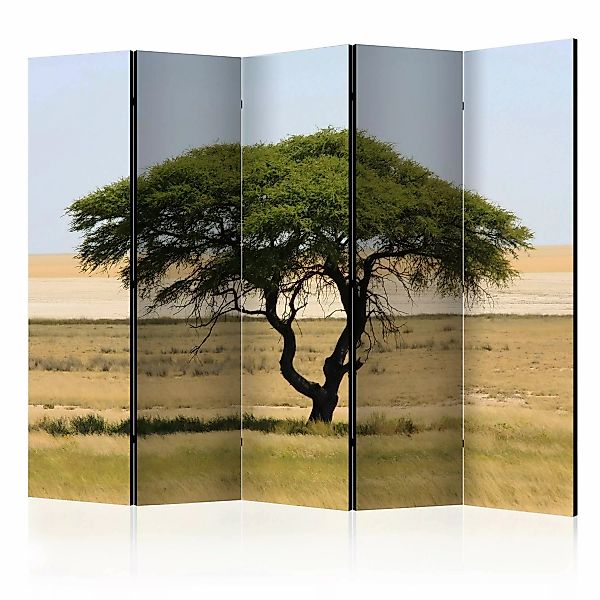 5-teiliges Paravent - Etosha National Park, Namibia Ii [room Dividers] günstig online kaufen