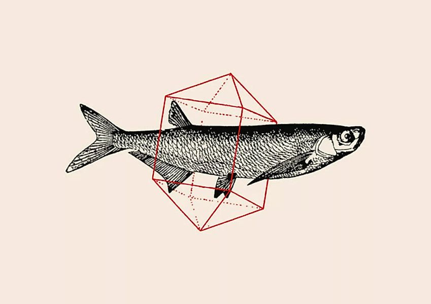 Poster / Leinwandbild - Fish In Geometrics günstig online kaufen