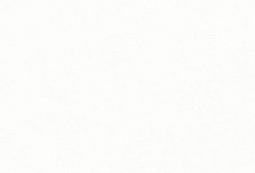 Höltkemeyer Wandregal "Happy" 2 Stk. tlg. Breite 80 und 120 cm günstig online kaufen