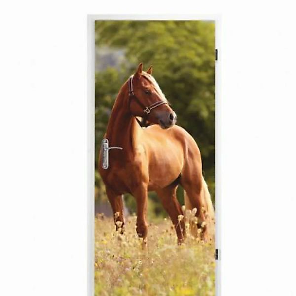 nikima Türbild TB-12 selbstklebendes Türbild – Pferd (16,66 €/m²) Klebefoli günstig online kaufen