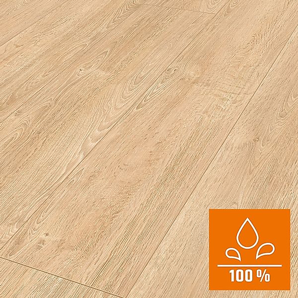 Classen Grande XXL Laminat 8 mm Wasserfest Eiche Chantilly Sand günstig online kaufen