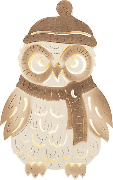 SAICO Original LED Fensterbild Winter-Eule, inkl. günstig online kaufen