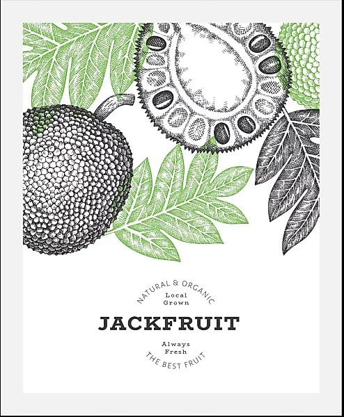 queence Bild »Jackfruit«, (1 St.) günstig online kaufen