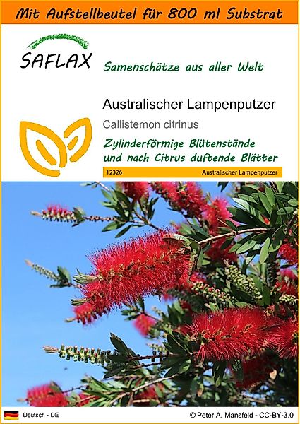 SAFLAX Blumensamen SAFLAX - Garden in günstig online kaufen