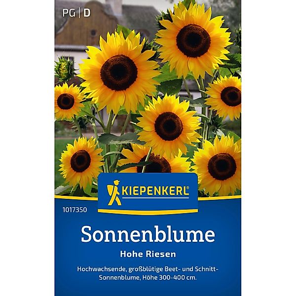 Kiepenkerl Sonnenblume Hohe Riesen Helianthus annuus günstig online kaufen