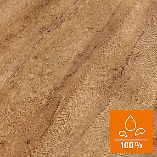 Classen XL Laminat 8 mm Wasserfest Eiche Natur Hell günstig online kaufen