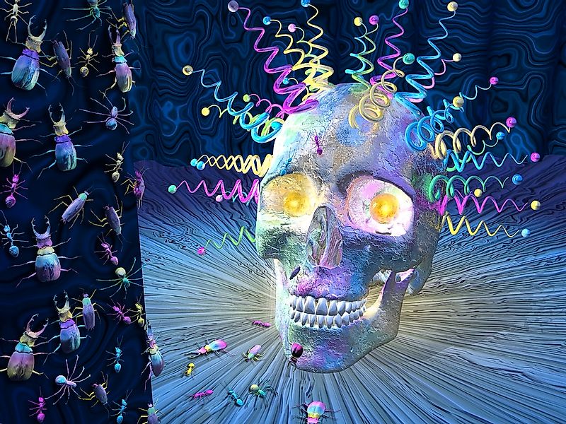 Papermoon Fototapete "Psychedelischer Schädel" günstig online kaufen