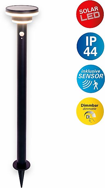 näve LED Solarleuchte "Nora" LED-Modul 1 Stk. Warmweiß inkl. Bewegungsmelde günstig online kaufen