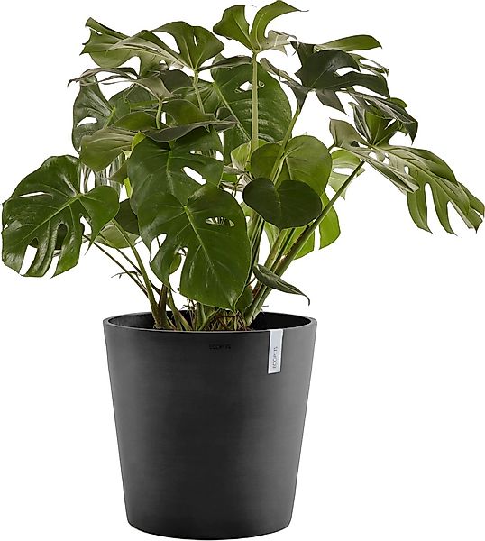 ECOPOTS Blumentopf "AMSTERDAM Dark Grey", BxTxH: 50x50x43,8 cm, mit Wasserr günstig online kaufen