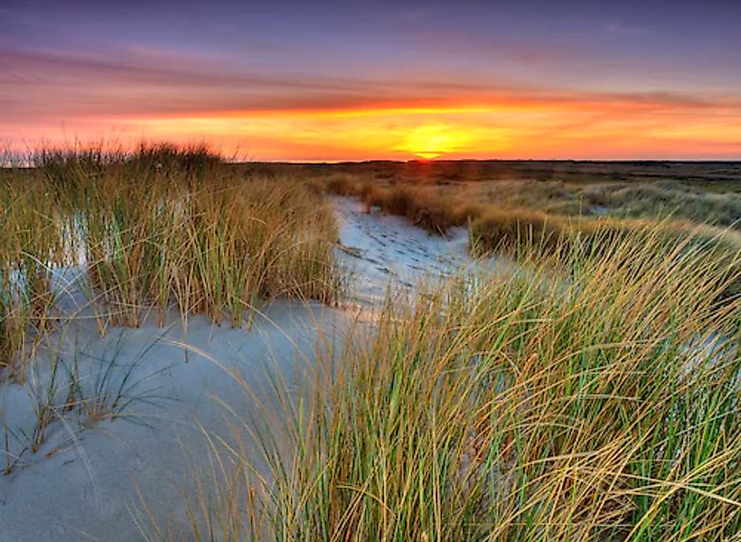 Papermoon Fototapete »Dunes Sunset« glatt günstig online kaufen