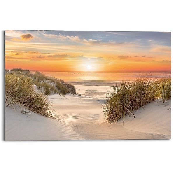 Reinders Deco-Panel "Beautiful Dunes" günstig online kaufen