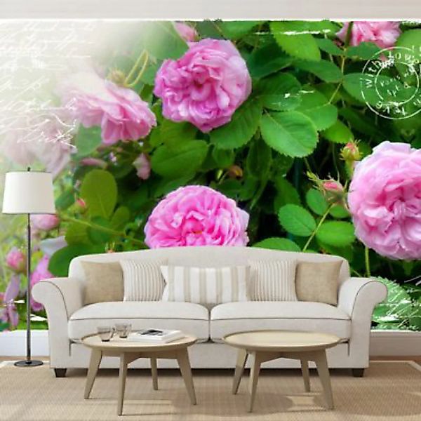artgeist Fototapete Summer garden rosa/grün Gr. 300 x 210 günstig online kaufen