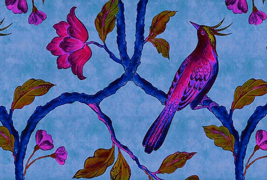 living walls Fototapete »Walls by Patel Bird Of Paradise 1« glatt Vlies, Wa günstig online kaufen