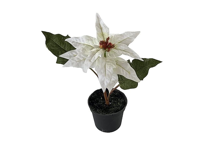 Kunstblume Kunstblume POINSETTIE im TOPF. 17 cm. Christstern in WEISS, Flor günstig online kaufen