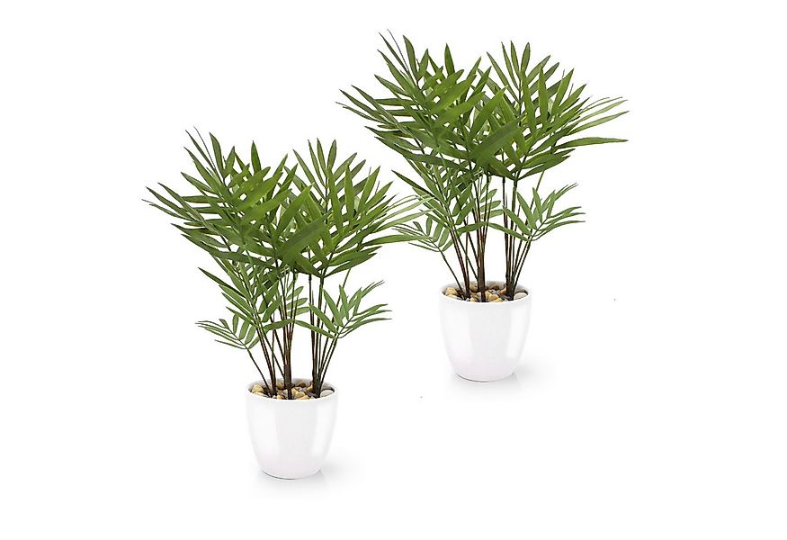 Kunstpflanze Tropische Kunstpflanzen wie echt in weißen Keramiktöpfen, Kuns günstig online kaufen