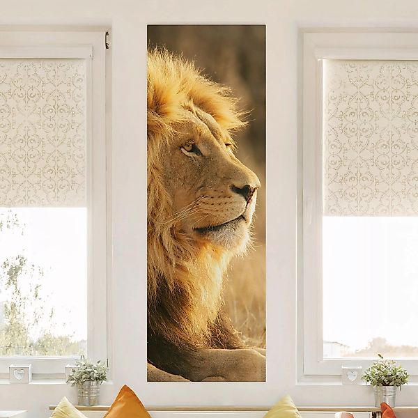 Leinwandbild Tiere - Hochformat Löwenkönig günstig online kaufen