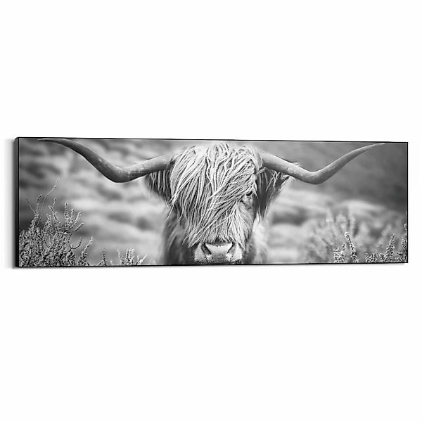 Reinders! Wandbild »Highlander Bulle« günstig online kaufen