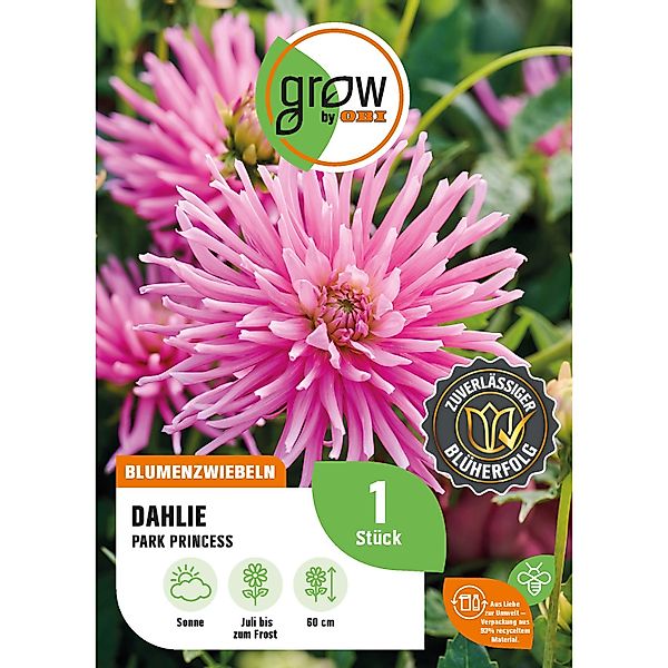 GROW by OBI Dahlie Park Princess Höhe ca. 60 cm günstig online kaufen