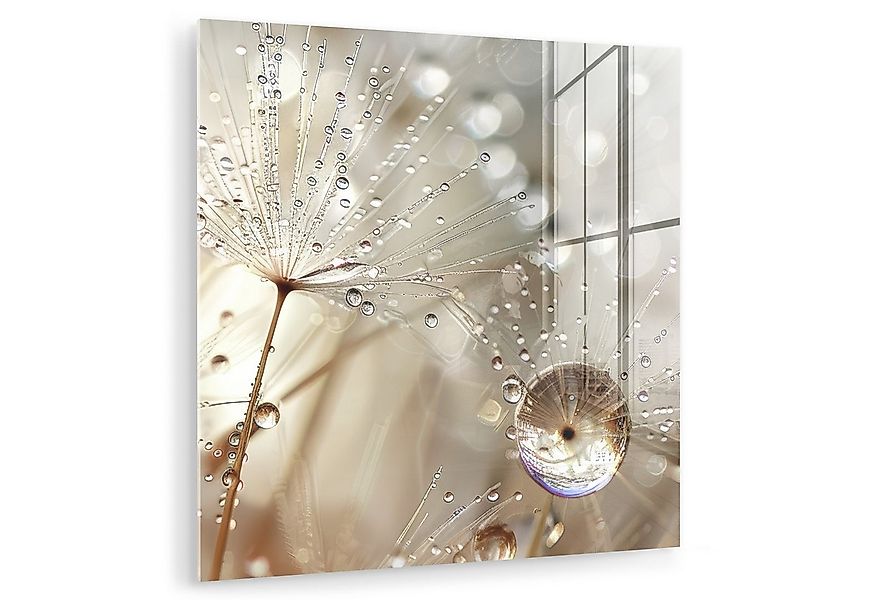 MuchoWow Acrylglasbild Natur - Blumen - Tropfen - Regen, Inkl. Aufhängung, günstig online kaufen