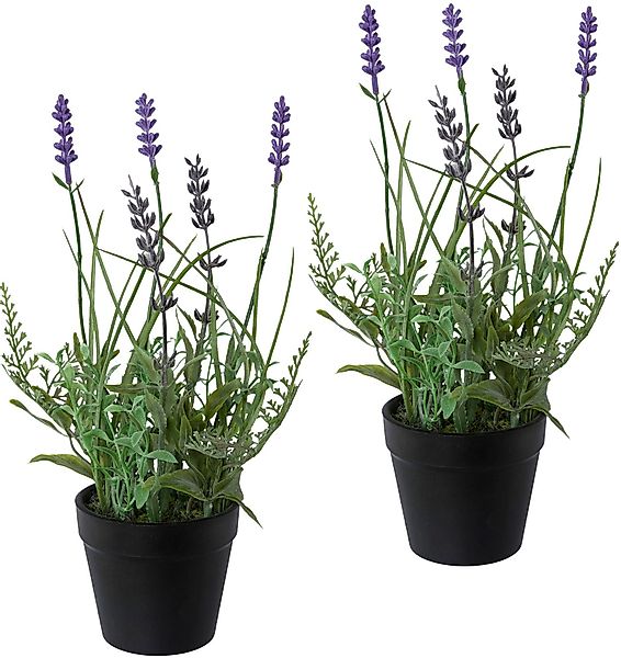 Kunstpflanze Lavendel, Creativ green, Höhe 25 günstig online kaufen