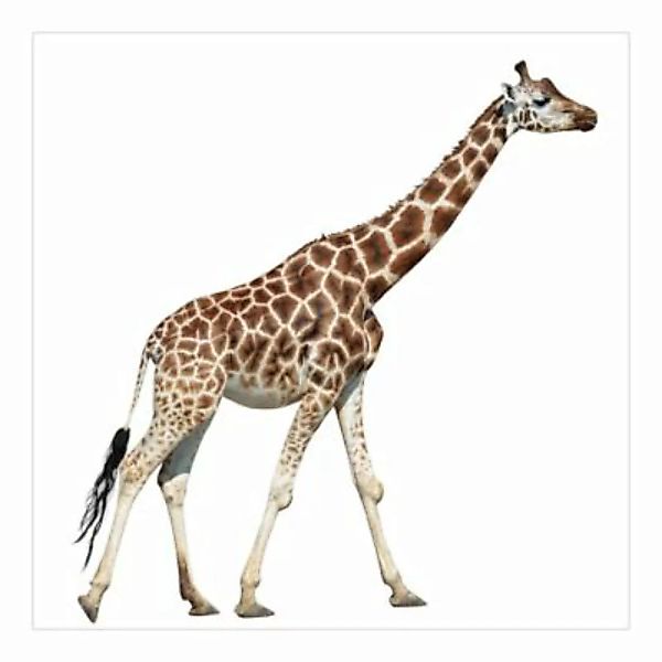 Bilderwelten Kindertapete Laufende Giraffe braun Gr. 240 x 240 günstig online kaufen
