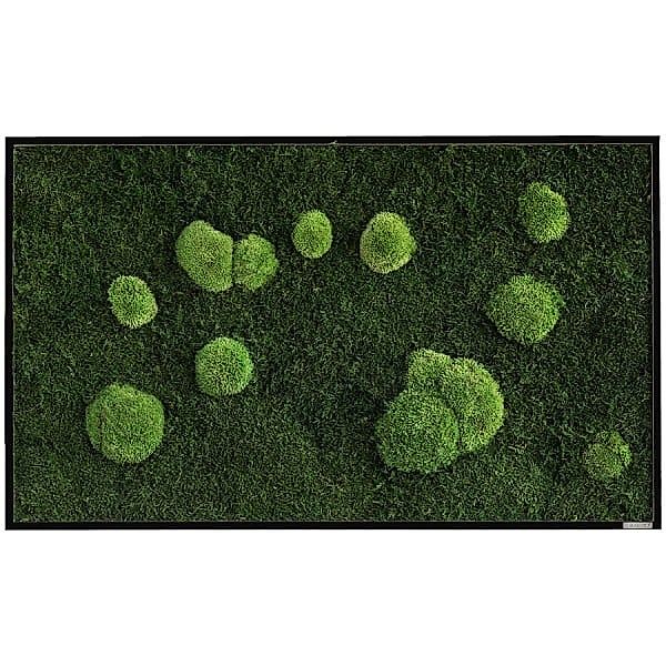 Moosbild im Wald- und Kugelmoosdesign | 100x60cm | Vollholz Rahmen schwarz günstig online kaufen