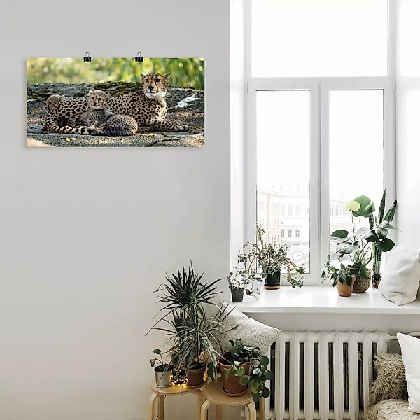 Artland Wandbild "Gepard 2", Wildtiere, (1 St.), als Leinwandbild, Poster, günstig online kaufen