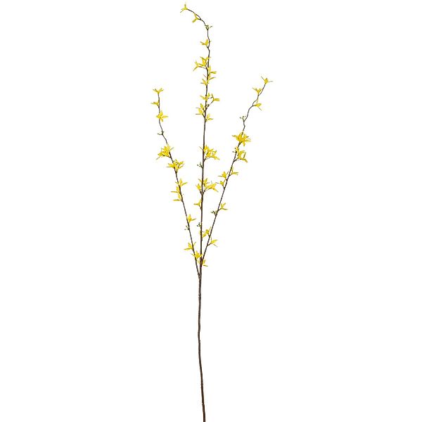 Mica Decorations Forsythia Gelb 97 cm günstig online kaufen