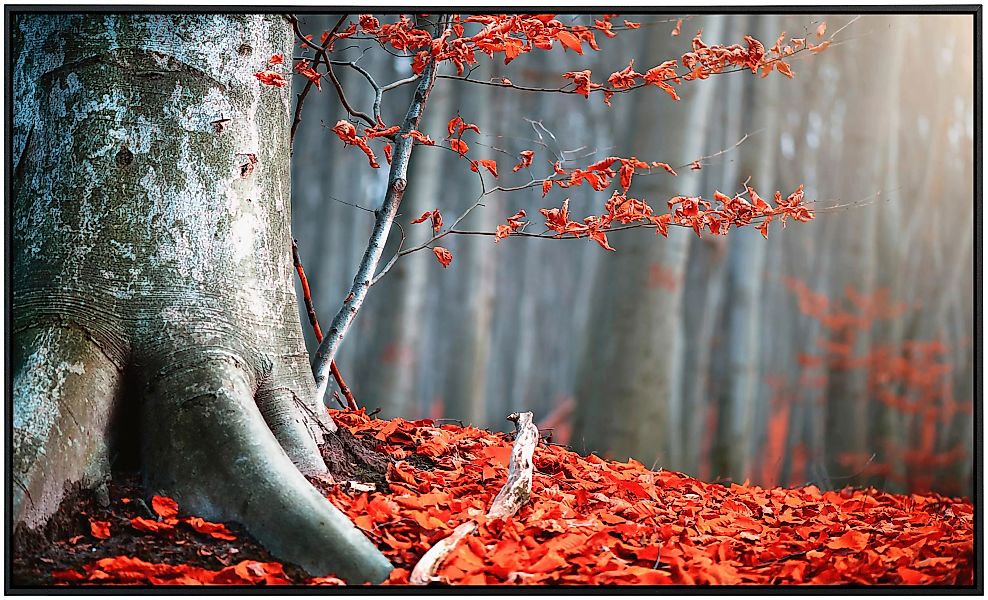 Papermoon Infrarotheizung »Alter Herbstbaum«, sehr angenehme Strahlungswärm günstig online kaufen