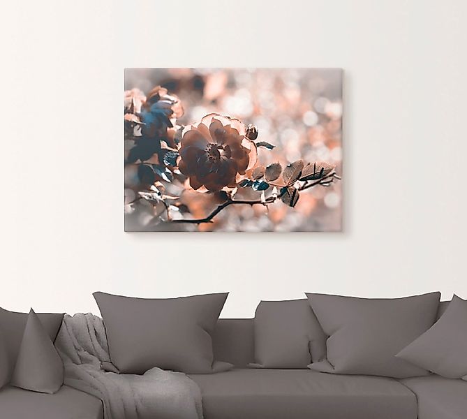 Artland Wandbild »Rose«, Blumen, (1 St.), als Leinwandbild, Wandaufkleber i günstig online kaufen