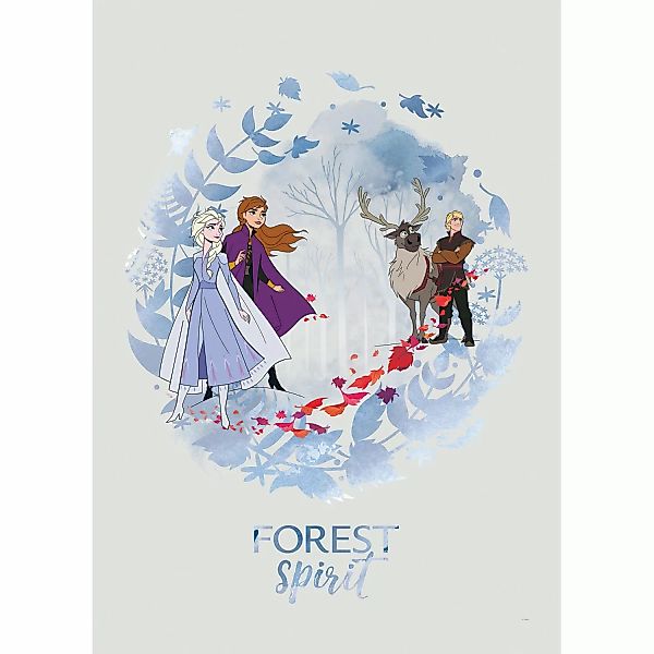 Komar Bild "Frozen Spirit", Disney, (1 St.), Wandbild zur Dekoration im Kin günstig online kaufen