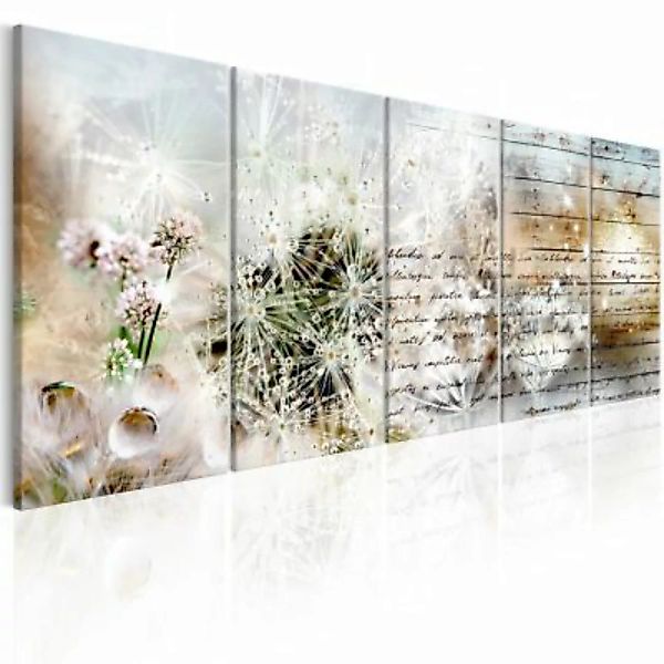 artgeist Wandbild Abstract Dandelions I mehrfarbig Gr. 200 x 80 günstig online kaufen