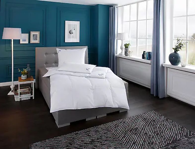 RIBECO Bettdecke + Kopfkissen »Anker« günstig online kaufen