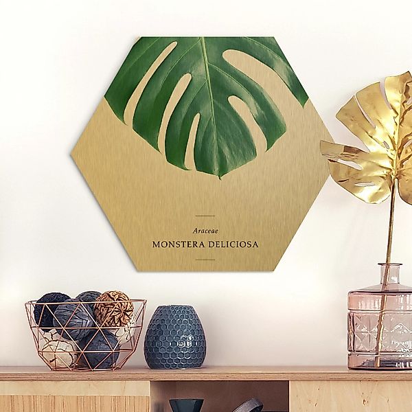 Hexagon-Alu-Dibond Bild Blumen Tropisches Blatt Monstera günstig online kaufen