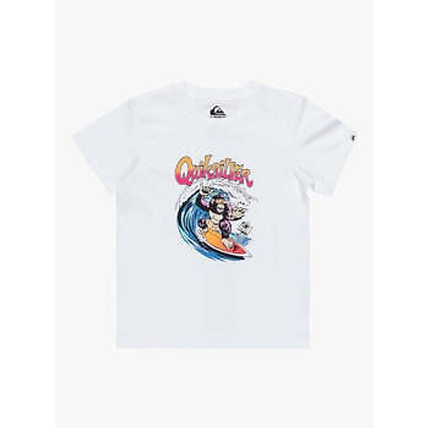 Quiksilver  Langarmshirt - günstig online kaufen