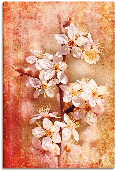 Artland Wandbild "Kirschblüten" Blumen 1 Stk. tlg. als Leinwandbild, Poster günstig online kaufen