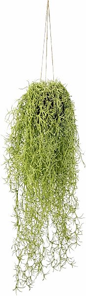 I.GE.A. Kunstpflanze "Mooshänger" Mit Hängeampel günstig online kaufen