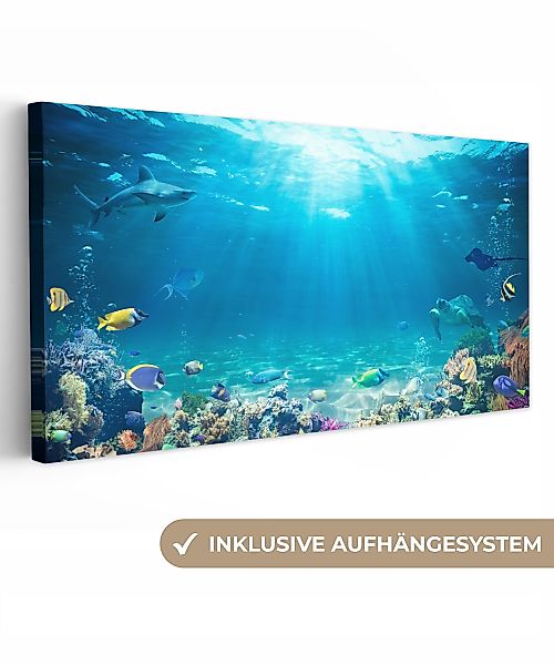 OneMillionCanvasses® Leinwandbild Panorama Unterwasserwelt - Meerestiere günstig online kaufen
