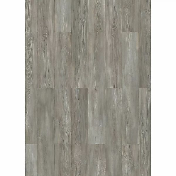 Laminatboden Pine modern ca. 1,974 m² im Paket Holz grau B/S: ca. 19,4x0,8 günstig online kaufen