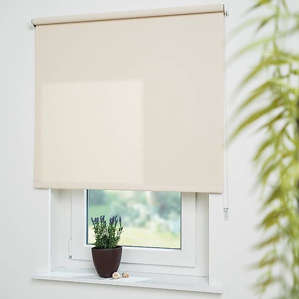 Seitenzugrollo Uni, Liedeco, Lichtschutz, mit Bohren, günstig online kaufen
