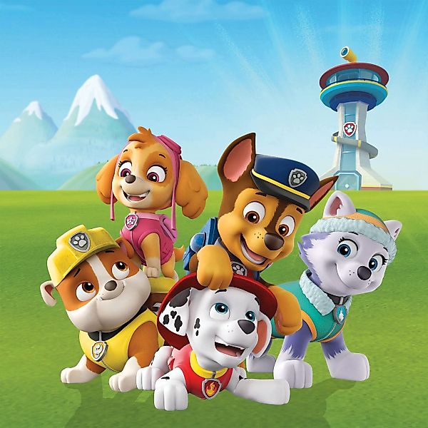 Bönninghoff Leinwandbild "Paw Patrol", Filmfiguren, (1 St.), BxH: 35x35 cm günstig online kaufen