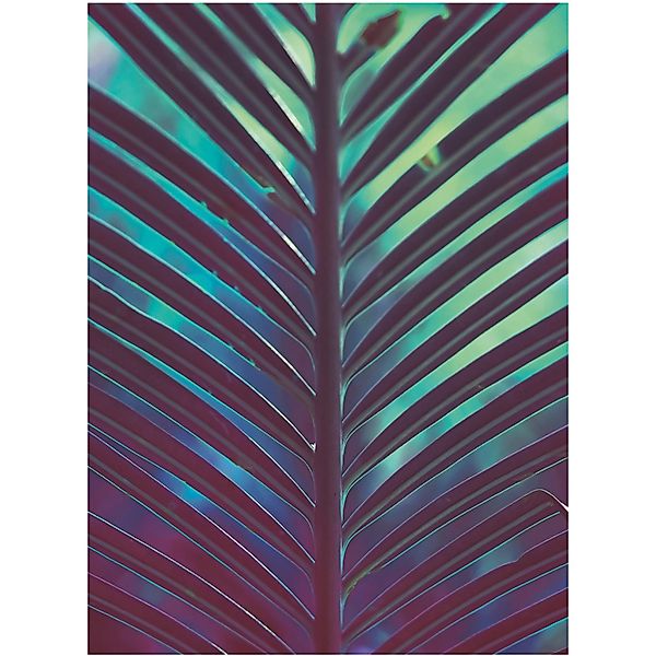 Komar Bild "Hide" Blätter  Pflanzen 1 Stk. tlg. Wandbild zur Dekoration - o günstig online kaufen