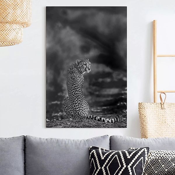 Leinwandbild Schwarz-Weiß - Querformat Gepard in der Wildness günstig online kaufen