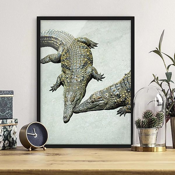 Bild mit Rahmen - Hochformat Crocodile Romance günstig online kaufen